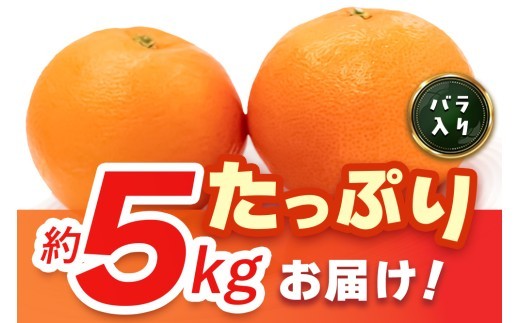 【2027年3月上旬より発送開始】にじゅうまる 約5kg バラ入り【佐賀県 みかん 柑橘 果物 くだもの フルーツ】(H116162)