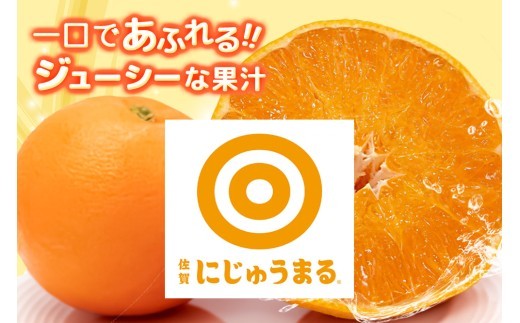 【2027年3月上旬より発送開始】にじゅうまる 約5kg バラ入り【佐賀県 みかん 柑橘 果物 くだもの フルーツ】(H116162)