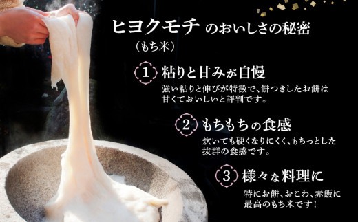 【令和7年産】ヒヨクモチ米 4.5kg【佐賀県神埼産 もち米 白米 もちもち 餅 もち ふるさと納税】(H063152)