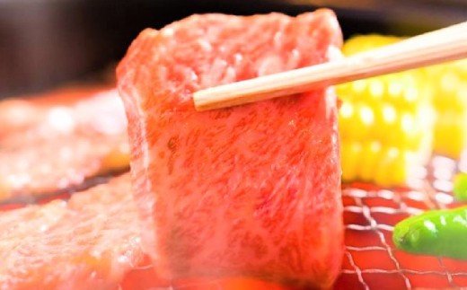 【3か月定期便】艶さし!【A4~A5】佐賀牛焼肉用 1kg(500g×2P)×3回【肉 牛肉 ブランド牛 黒毛和牛 ふるさと納税】(H112169)