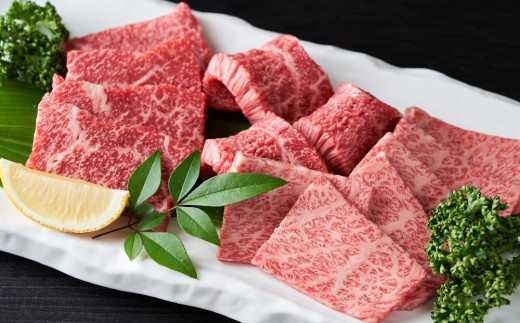 【6か月定期便】艶さし!【A4~A5】佐賀牛焼肉用 1kg(500g×2P)×6回【肉 牛肉 ブランド牛 黒毛和牛 ふるさと納税】(H112170)