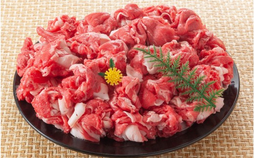 【6か月定期便】訳あり!佐賀産和牛切り落とし 1.2kg(600g×2P)×6回【肉 牛肉 ブランド牛 黒毛和牛 ふるさと納税】(H112319)