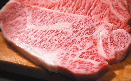 【6か月定期便】艶さし!【A4~A5】佐賀牛サーロインステーキセット 500g(250g×2枚)×6回【肉 牛肉 ブランド牛 黒毛和牛 ステーキ肉 ふるさと納税】(H112194)