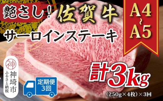 【3か月定期便】艶さし!【A4~A5】佐賀牛サーロインステーキ 1kg(250g×4枚)×3回【肉 牛肉 ブランド牛 黒毛和牛 ステーキ肉 ふるさと納税】(H112196)