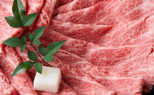【12か月定期便】【厳選部位】【A4~A5】佐賀牛サーロインしゃぶしゃぶすき焼き用 1kg(500g×2P)×12回【肉 牛肉 ブランド牛 黒毛和牛 お祝い ご褒美 ふるさと納税】(H112210)