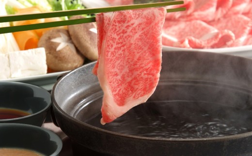 【12か月定期便】【厳選部位】【A4~A5】佐賀牛サーロインしゃぶしゃぶすき焼き用 1kg(500g×2P)×12回【肉 牛肉 ブランド牛 黒毛和牛 お祝い ご褒美 ふるさと納税】(H112210)