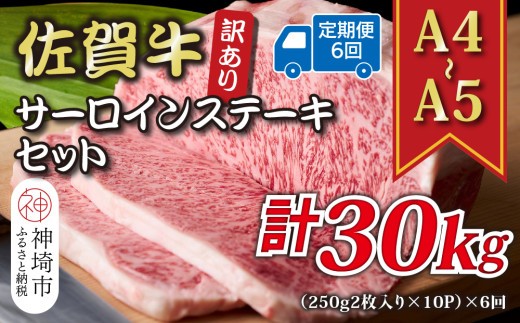 訳あり 佐賀牛サーロインステーキセット 5kg
