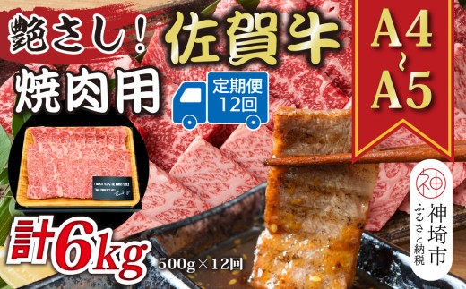 牛肉 ロース 12か月定期便 艶さし A4~A5