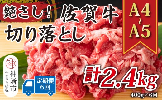 牛肉 ロース 6か月定期便 艶さし A4~A5