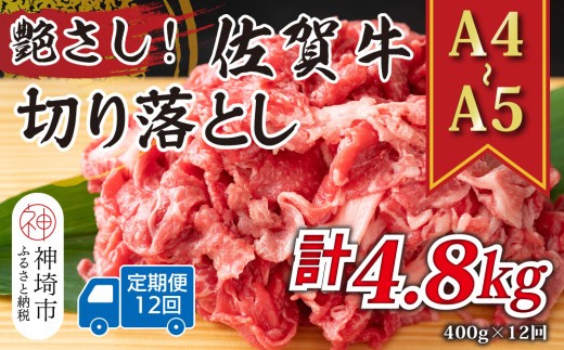 牛肉 ロース 12か月定期便 艶さし A4~A5