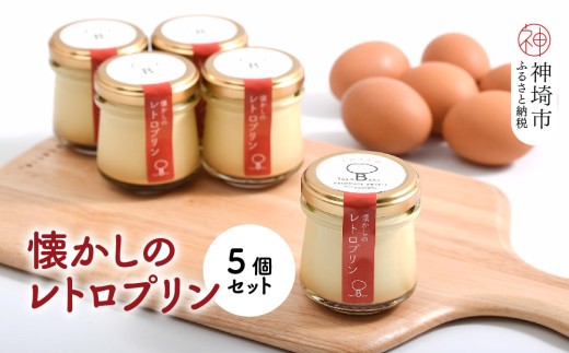 えこびとの懐かしのレトロプリン5個セット