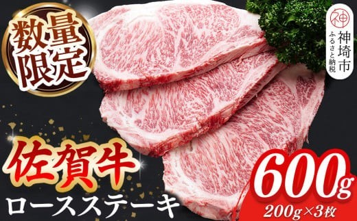 佐賀牛ヒレ 不揃いサイコロステーキ600g