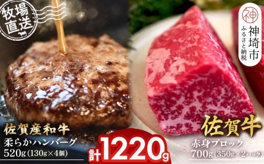 佐賀牛 赤身ブロック350g×2パック計700g