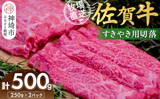 牛肉 ロース 佐賀牛 すきやき用切落250g×2パック計500g