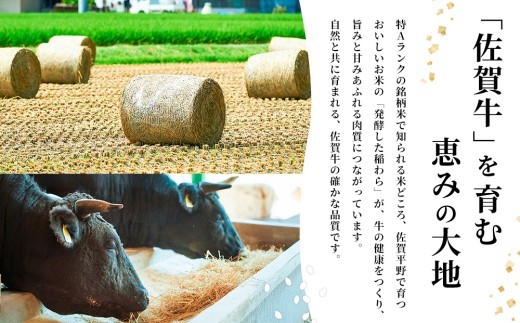 佐賀牛 サーロインステーキ200g×4枚計800g【佐賀牛 サーロインステーキ 牧場直送】(H122147)