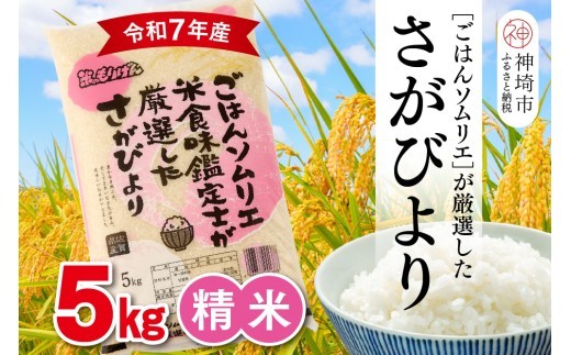 ごはんソムリエが厳選 白米 さがびより 5kg