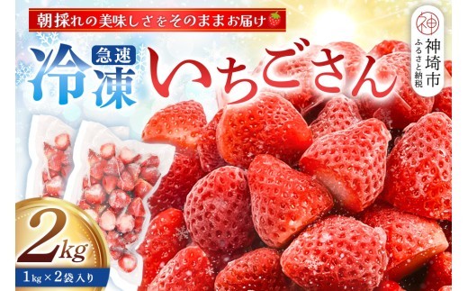 冷凍いちご 2kg