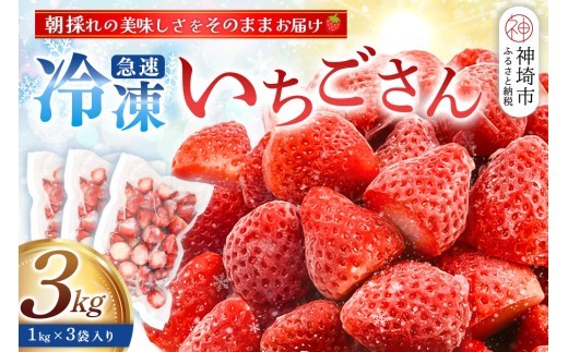 冷凍いちご 3kg