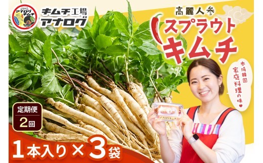 熟成秘伝の高麗人参スプラウトキムチ 1本入り×3袋