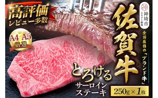 佐賀牛 サーロインステーキ 250g×1枚