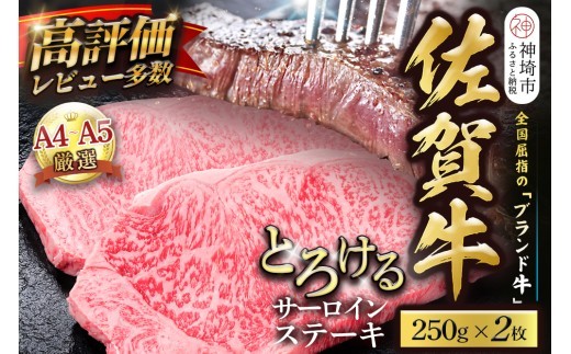 佐賀牛 サーロインステーキ 250g×2枚