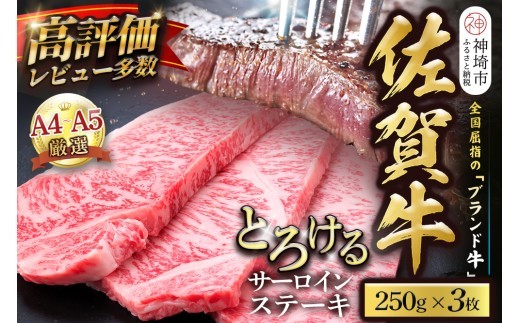佐賀牛 サーロインステーキ 250g×3枚