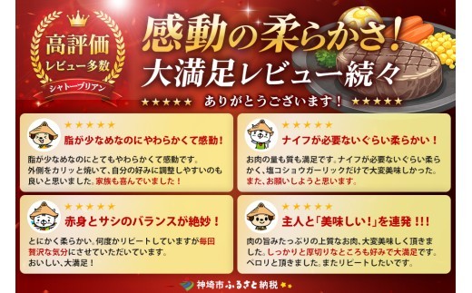 【スピード発送】佐賀牛ヒレシャトーブリアン 200g×10枚 隔月定期便5回【化粧箱入り シャトーブリアン ヒレ肉 厚切りステーキ 黒毛和牛 ブランド牛 国産和牛 丸宗ミート】(H065230)