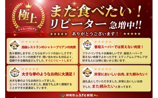 【スピード発送】佐賀牛ヒレシャトーブリアン 200g×10枚 隔月定期便5回【化粧箱入り シャトーブリアン ヒレ肉 厚切りステーキ 黒毛和牛 ブランド牛 国産和牛 丸宗ミート】(H065230)