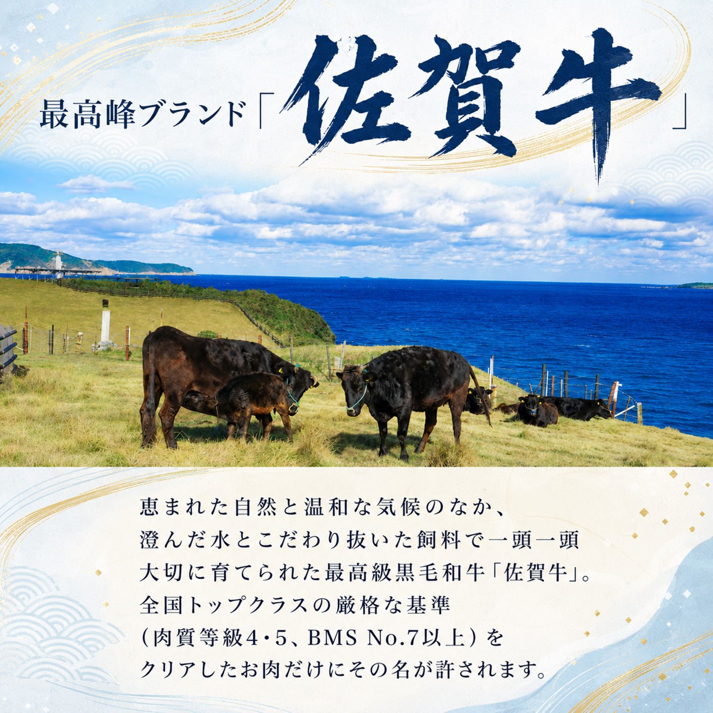佐賀牛ロースステーキ 200g×1枚【牧場直送 A5 A4 厳選 黒毛和牛 牛肉 国産牛 霜降り サシ やわらかい 上品 甘み】(H106237)