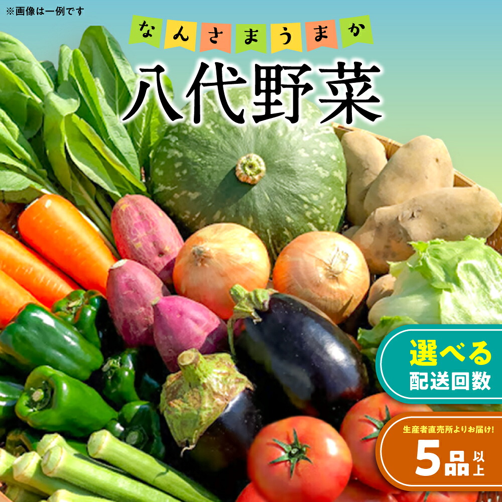 【選べる発送回数】なんさまうまか八代野菜セット 5品以上 やさい 詰め合わせ 熊本県産 野菜 果実 果物 くだもの フルーツ セット 季節の野菜 季節の果実 春 夏 秋 冬 旬 おまかせ 定期 国産 八代