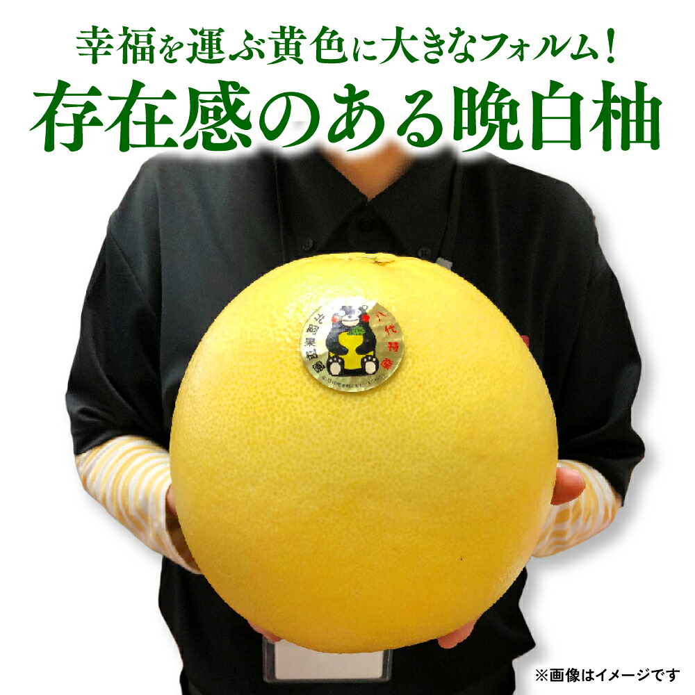 【先行予約】【選べる玉数】熊本県八代市産 晩白柚 (ばんぺいゆ) 2Lサイズ(約2kg)×1玉~5玉 柑橘 みかん 果物 くだもの フルーツ デザート 特産 熊本県 八代市 【2026年12月上旬より順次発送】