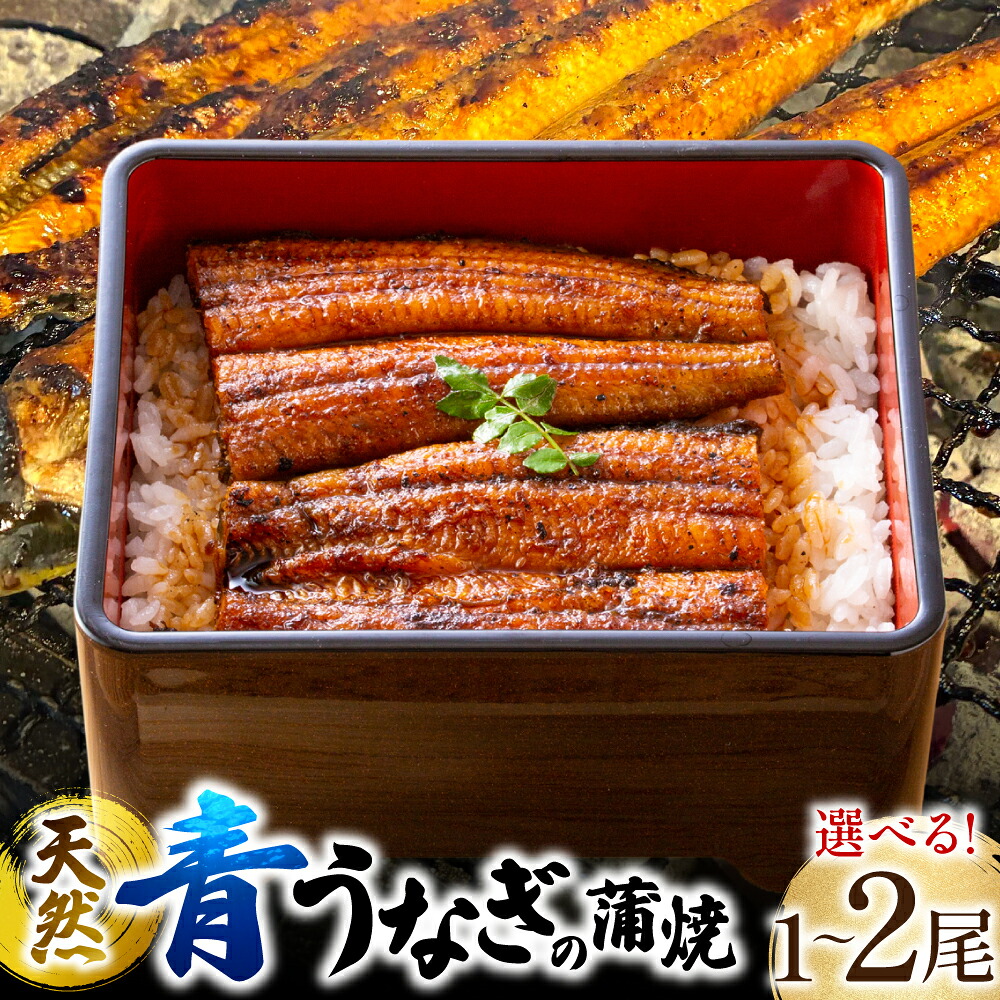 【選べる容量】熊本県 八代市産 天然青うなぎの蒲焼 蒲焼セット 1~2尾 自家製うなぎのタレ 鰻 ウナギ うなぎの蒲焼 国産 うな丼 うな重