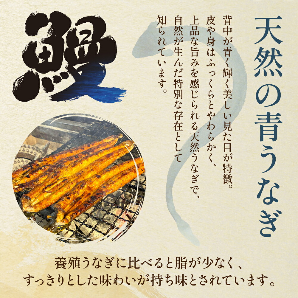 【選べる容量】熊本県 八代市産 天然青うなぎの蒲焼 蒲焼セット 1~2尾 自家製うなぎのタレ 鰻 ウナギ うなぎの蒲焼 国産 うな丼 うな重