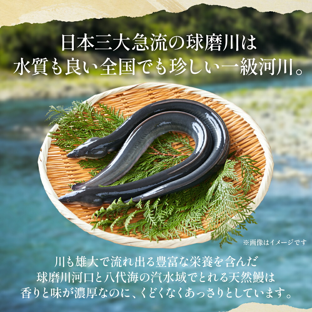 【選べる容量】熊本県 八代市産 天然青うなぎの蒲焼 蒲焼セット 1~2尾 自家製うなぎのタレ 鰻 ウナギ うなぎの蒲焼 国産 うな丼 うな重