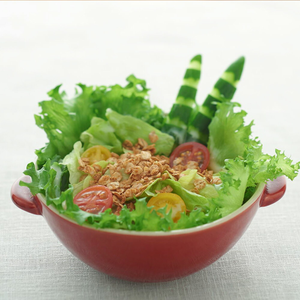 九州 大麦 グラノーラ 200g×12袋 香料 保存料の添加物は不使用  グラノーラ 国産 プレーン ギフト シリアル トッピング 朝食 軽食 おやつ