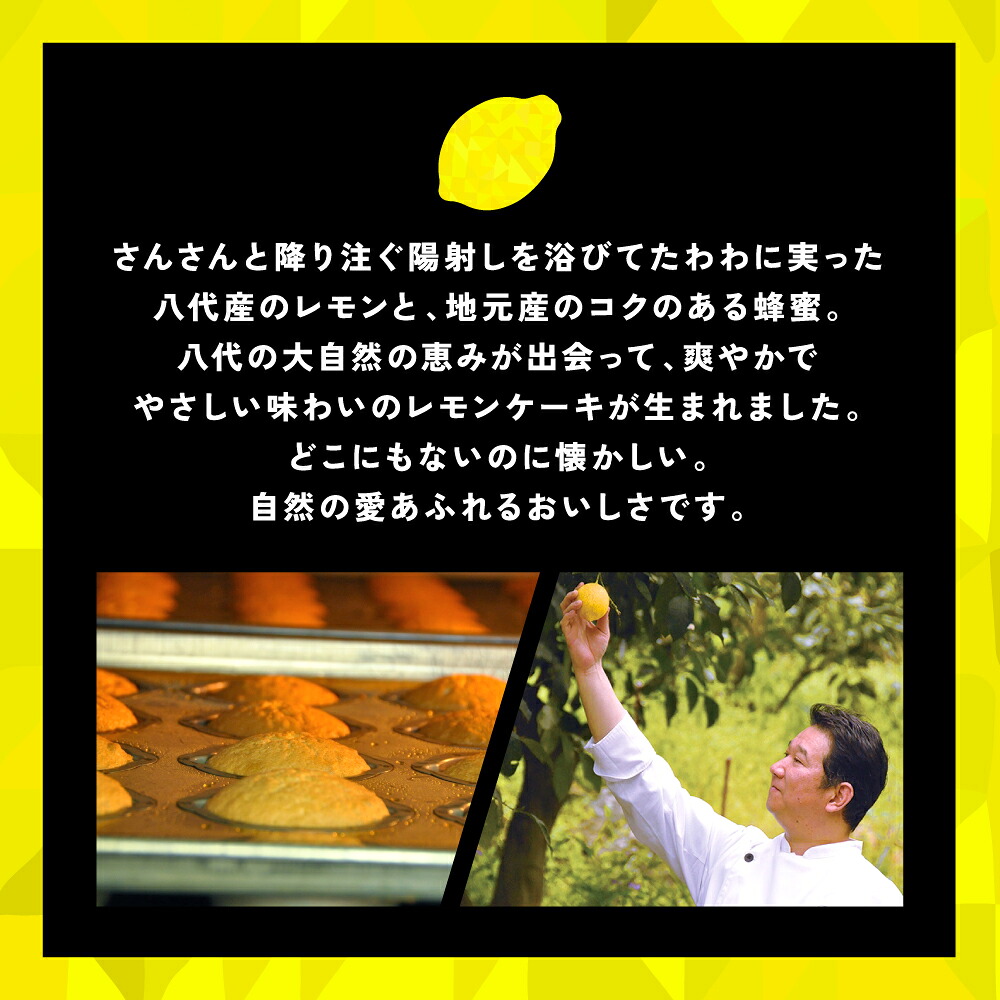【選べる内容量】レモンケーキ 5~15個入 レモン 檸檬 お菓子 焼き菓子 洋菓子 スイーツ デザート ギフト 熊本県 八代市