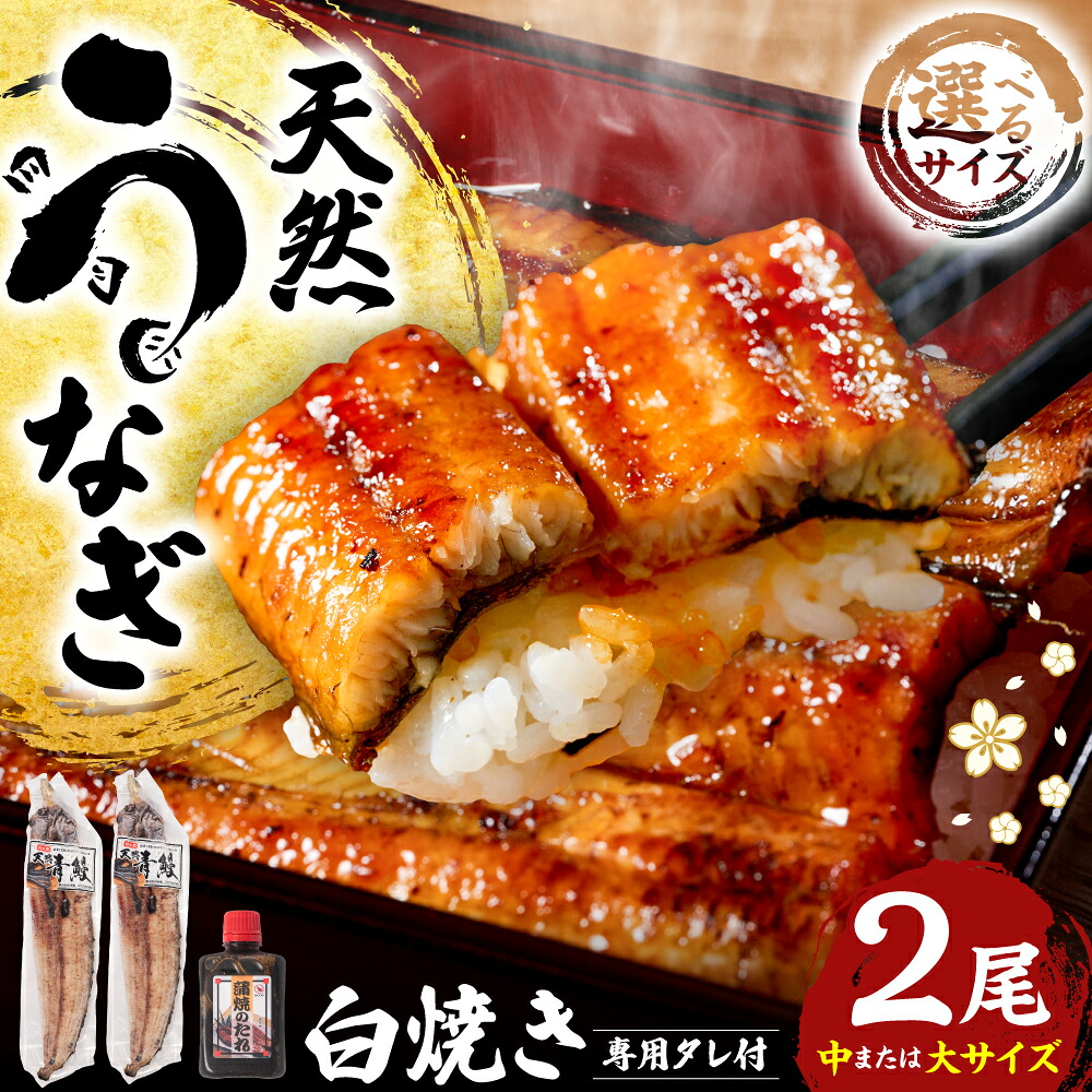 【選べる内容量】熊本県八代市産 天然うなぎ 白焼(中)or(大) 2尾 合計300g前後 蒲焼のたれ付き 鰻 国産 蒲焼 ウナギ うなぎ 丑の日 冬が旬 冷凍 熊本県 八代市