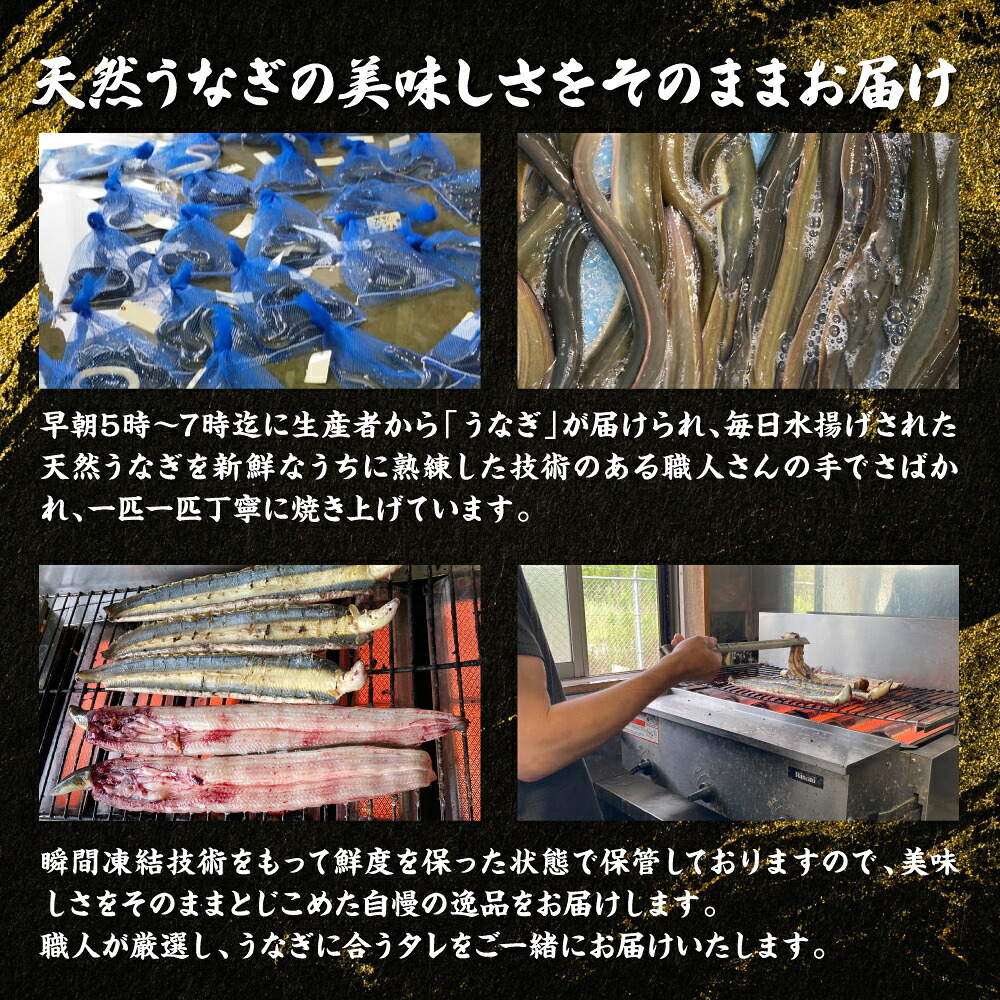 【選べる内容量】熊本県八代市産 天然うなぎ 白焼(中)or(大) 2尾 合計300g前後 蒲焼のたれ付き 鰻 国産 蒲焼 ウナギ うなぎ 丑の日 冬が旬 冷凍 熊本県 八代市