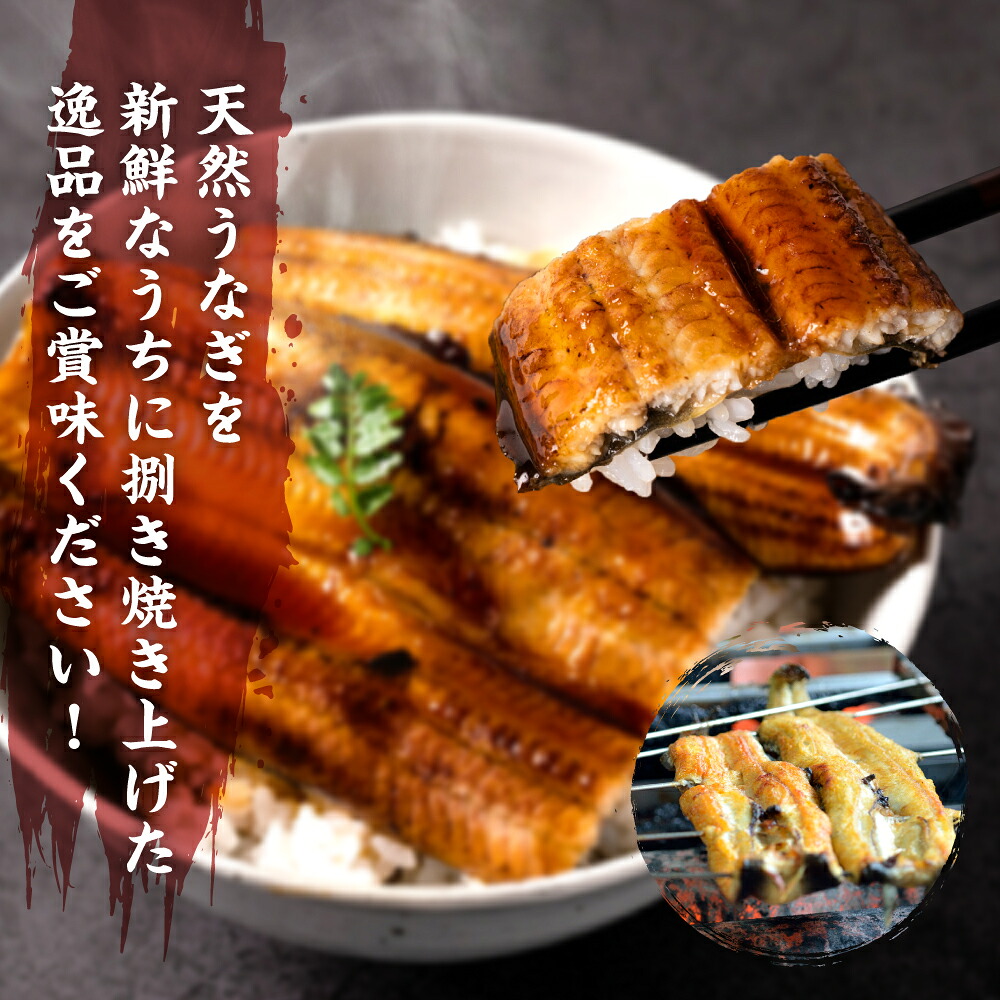 【選べる内容量】熊本県八代市産 天然うなぎ 白焼(中)or(大) 2尾 合計300g前後 蒲焼のたれ付き 鰻 国産 蒲焼 ウナギ うなぎ 丑の日 冬が旬 冷凍 熊本県 八代市