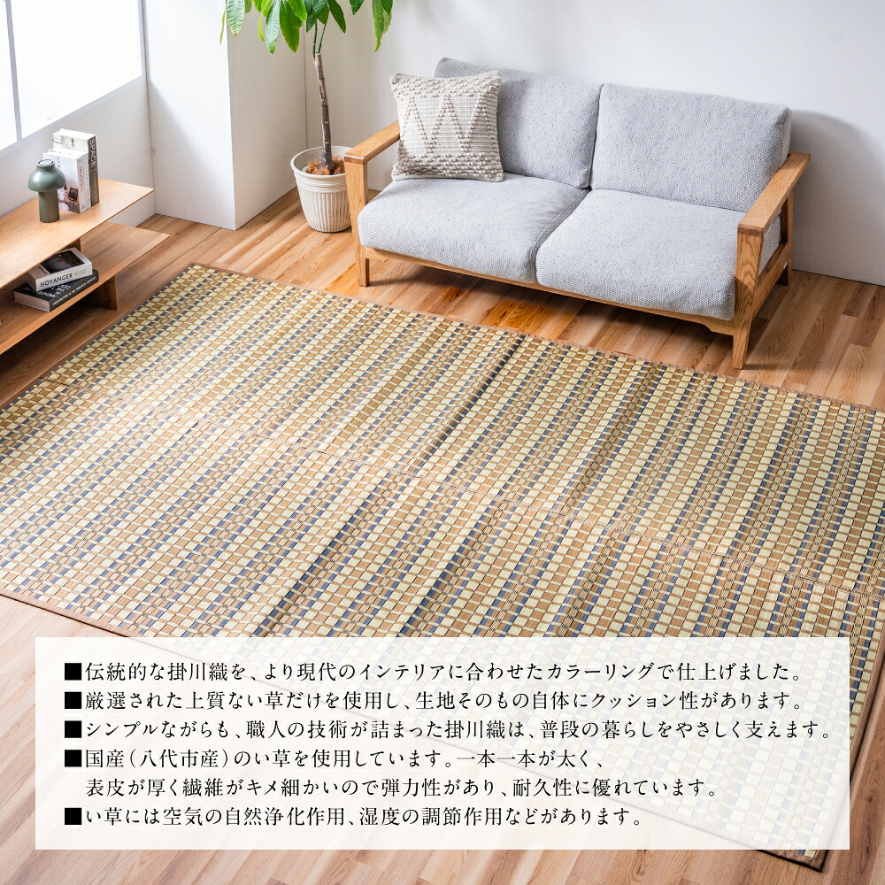 【選べるサイズ(全6サイズ)・カラー(全2色)】熊本県八代市産のい草を使って丹精込めて織り上げた『タロ』 国産 イグサ 茣蓙 ござ ラグ カーペット 絨毯 マット 織物 敷き物 インテリア