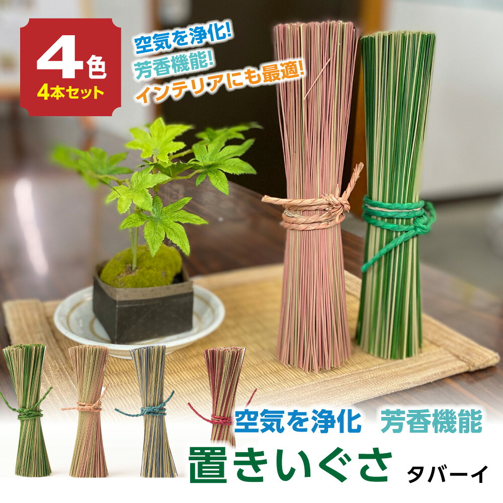 置きいぐさ タバーイ 4本セット 赤 青 緑 ピンク