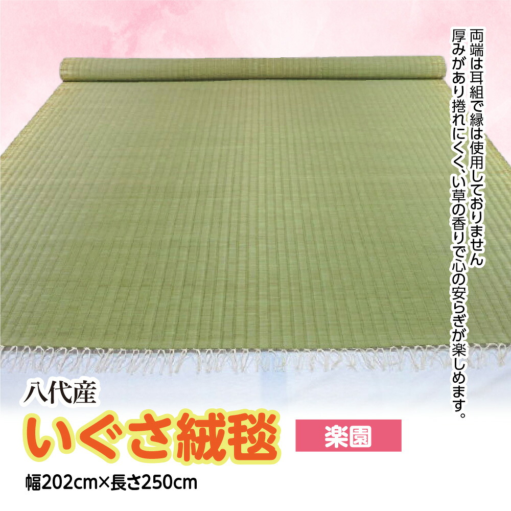いぐさ絨毯 幅202cm×長さ250cm