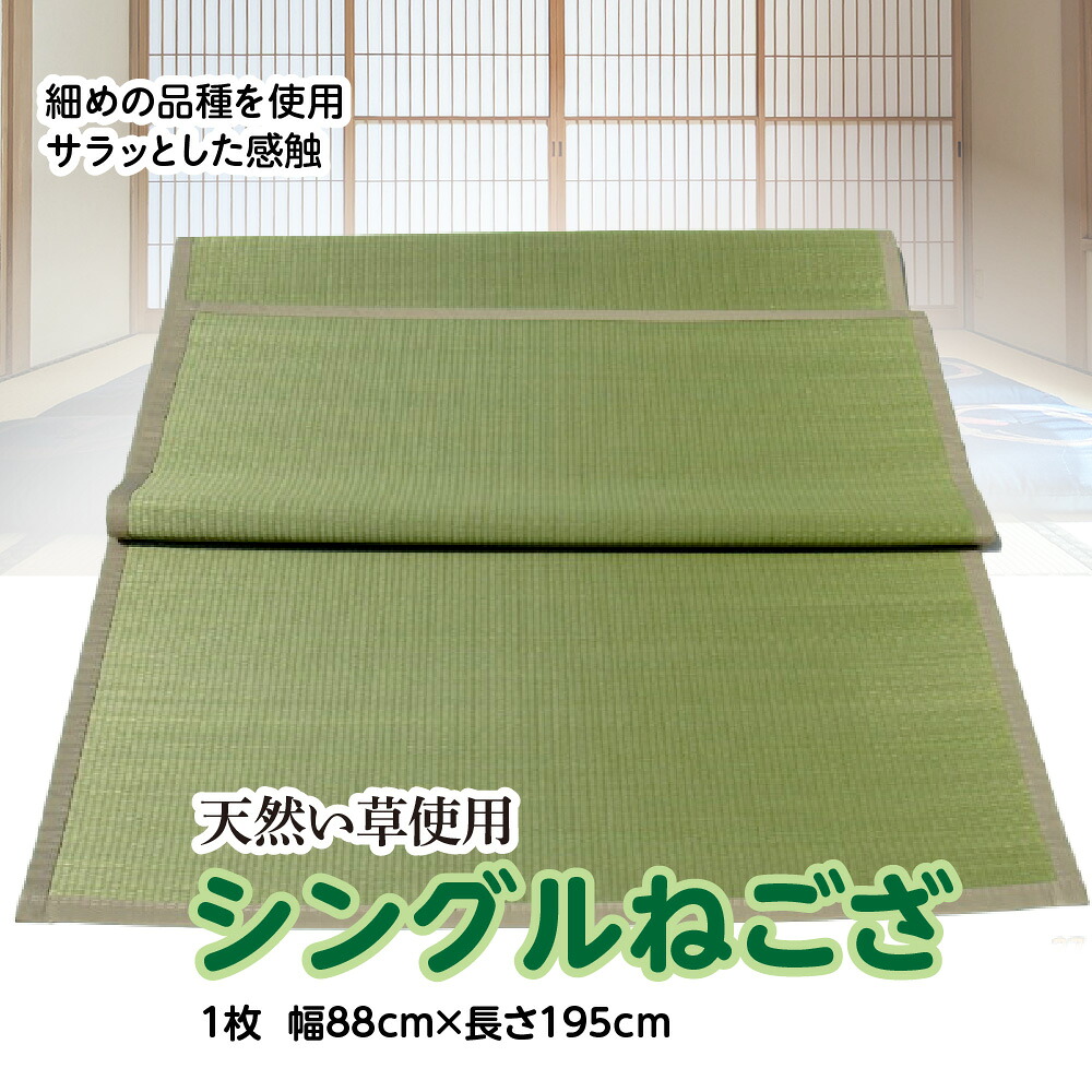 い草 シングルねござ 幅88cm×長195cm