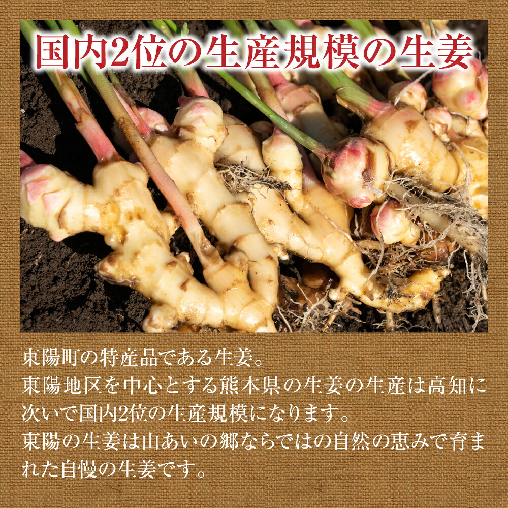 【先行予約】【選べる容量】 熊本県八代市産 新生姜1kg〜2kg 季節限定 しょうが ショウガ ガリ ジンジャー 野菜 食品 温活 冷え対策 旬 【2026年9月上旬より順次発送】