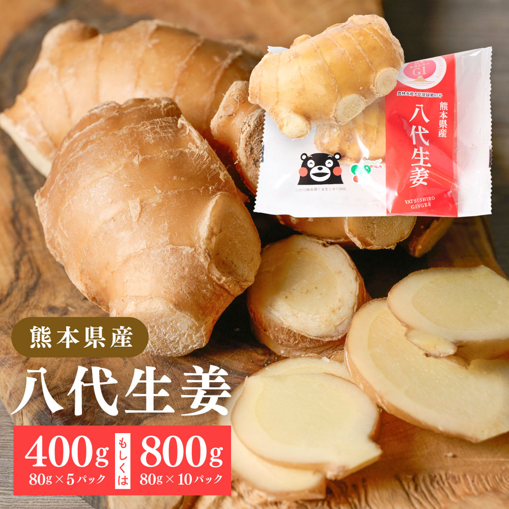 【選べる容量】八代生姜 400g・800g しょうが ショウガ ガリ ジンジャー 野菜 食品 薬味 生姜焼き しょうが焼き 温活 冷え性 対策 熊本県 八代市 東陽町 産地直送 国産