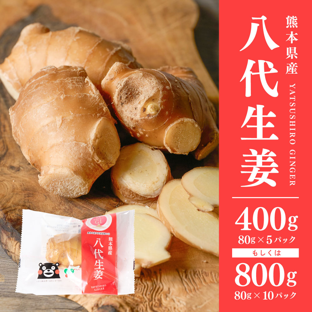 【選べる容量】八代生姜 400g・800g しょうが ショウガ ガリ ジンジャー 野菜 食品 薬味 生姜焼き しょうが焼き 温活 冷え性 対策 熊本県 八代市 東陽町 産地直送 国産