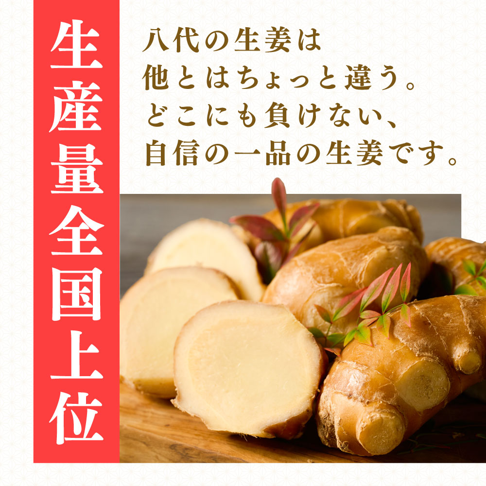 【選べる容量】八代生姜 400g・800g しょうが ショウガ ガリ ジンジャー 野菜 食品 薬味 生姜焼き しょうが焼き 温活 冷え性 対策 熊本県 八代市 東陽町 産地直送 国産