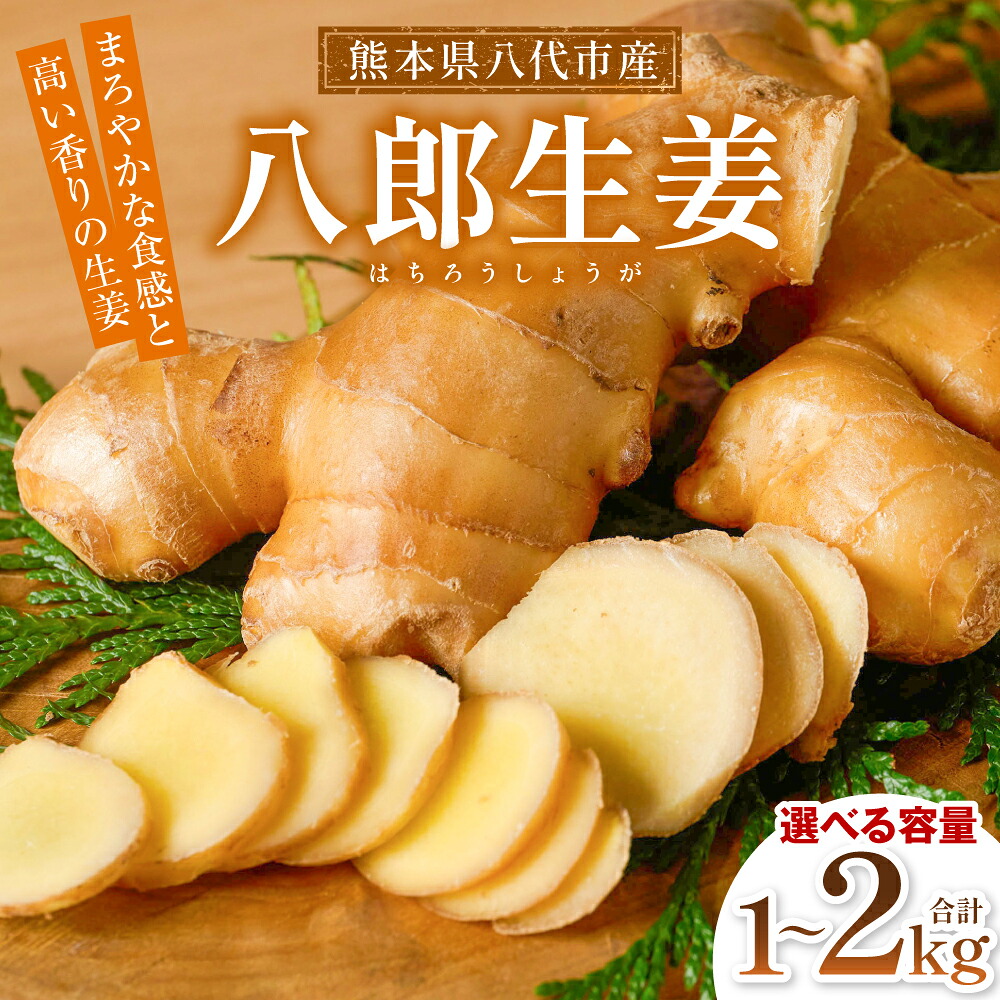 【選べる容量】八郎生姜 1kg~2kg しょうが ショウガ ガリ ジンジャー 野菜 食品 薬味 生姜焼き しょうが焼き 温活 冷え性 対策 熊本県 八代市 東陽町 産地直送 国産