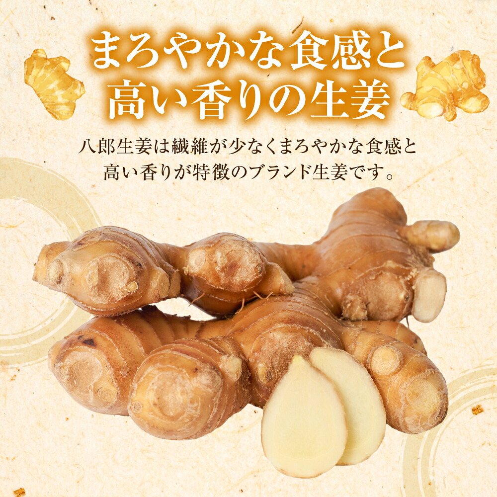 【選べる容量】八郎生姜 1kg~2kg しょうが ショウガ ガリ ジンジャー 野菜 食品 薬味 生姜焼き しょうが焼き 温活 冷え性 対策 熊本県 八代市 東陽町 産地直送 国産