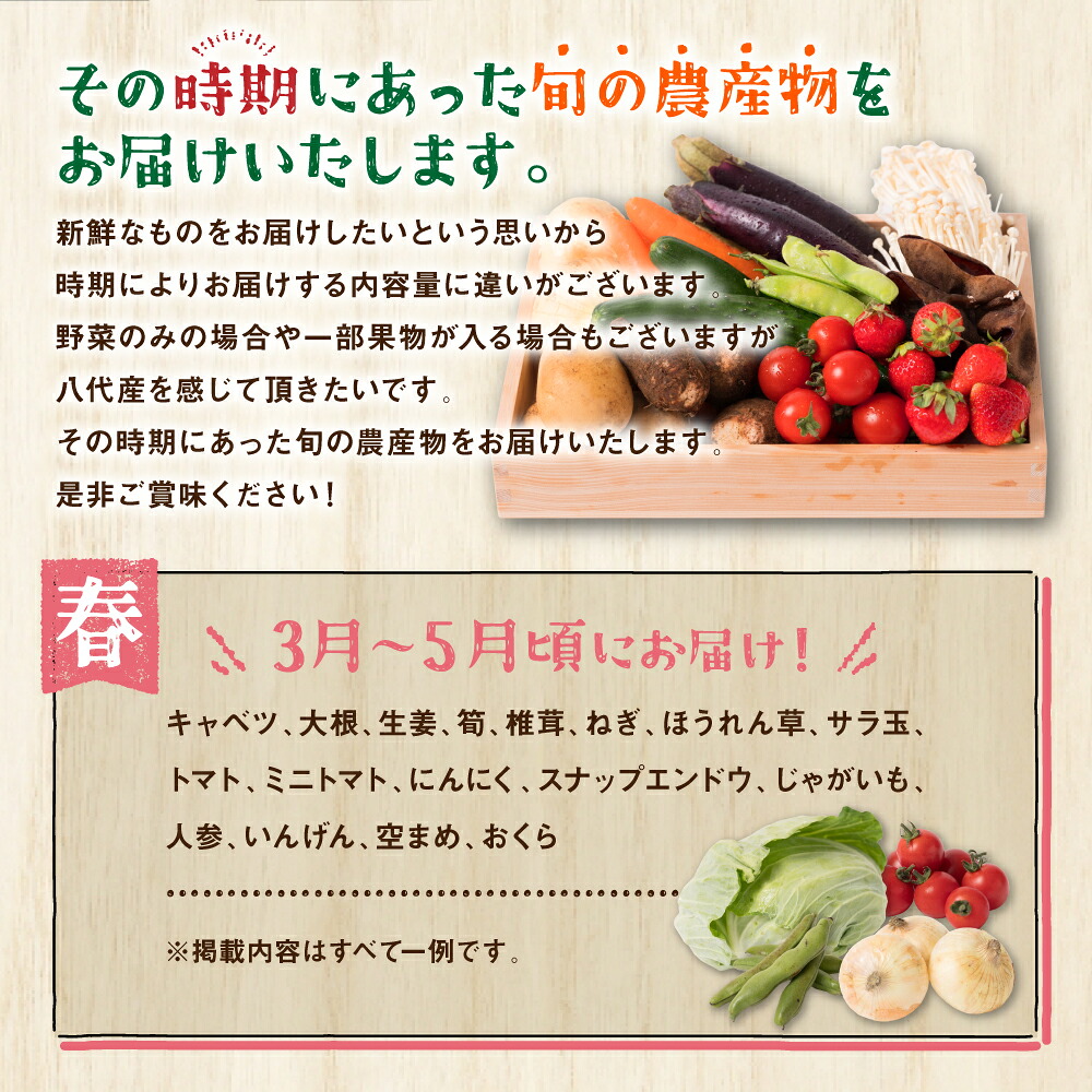 八代市産 旬の農産物詰合せ 復興 福袋 7品以上 野菜 果実 果物 やさい くだもの フルーツ 合計7品目以上 セット 季節の野菜 季節の果実 春 夏 秋 冬 旬 おまかせ 国産 熊本県 八代市